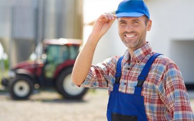 Immagine: 