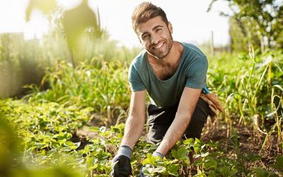 Immagine: 